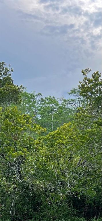MALAUKA LOOP, Ocklawaha, FL 32179