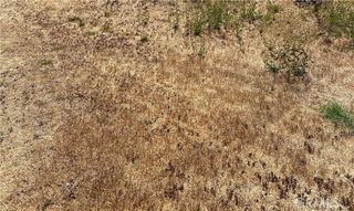 0 Vac/Ave G/Vic 125 Stw, Antelope Acres, CA 93536