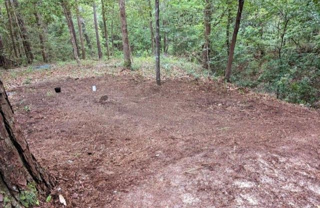 181 Sally Mayes Drive, Livingston, TX 77351