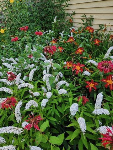 1522 N Francis STREET, Port Washington, WI 53074