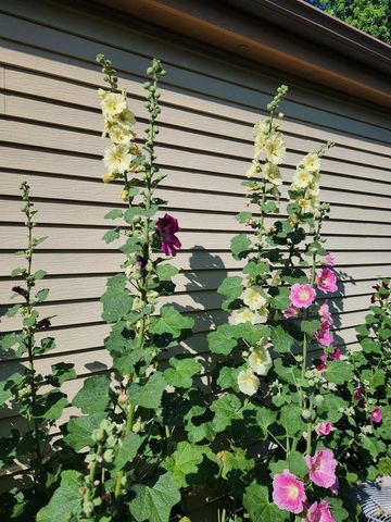 1522 N Francis STREET, Port Washington, WI 53074