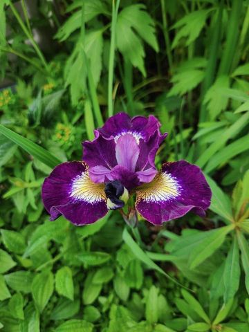 1522 N Francis STREET, Port Washington, WI 53074