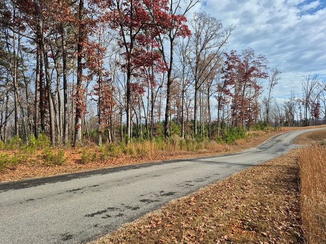 00 High River Crossing, Ellijay, GA 30540