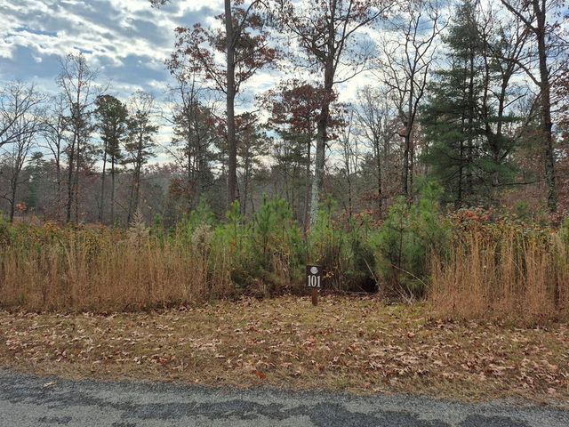 00 High River Crossing, Ellijay, GA 30540