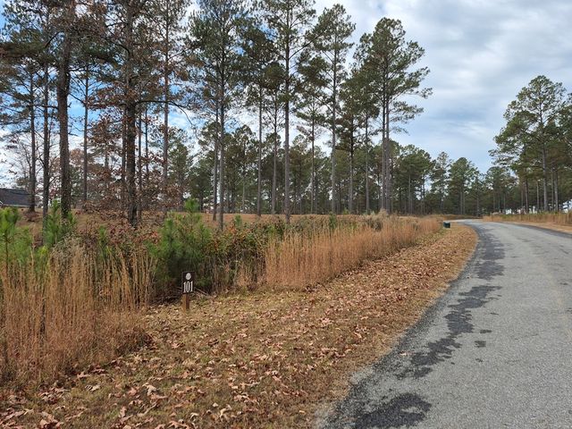 00 High River Crossing, Ellijay, GA 30540