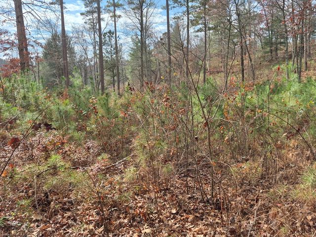 00 High River Crossing, Ellijay, GA 30540