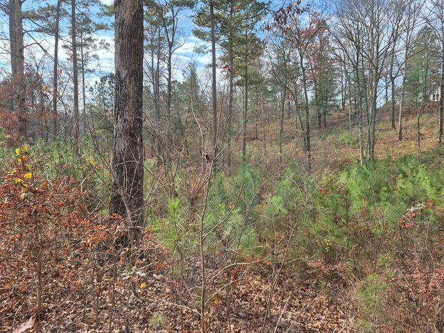 00 High River Crossing, Ellijay, GA 30540