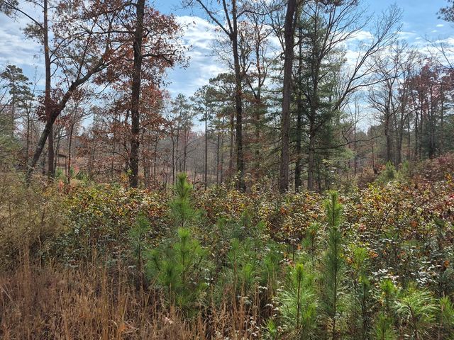 00 High River Crossing, Ellijay, GA 30540