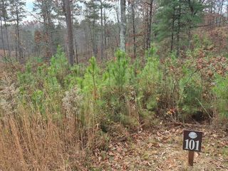 00 High River Crossing, Ellijay, GA 30540