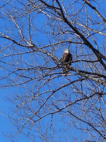 W11322 Red Cedar Drive, Lodi, WI 53555