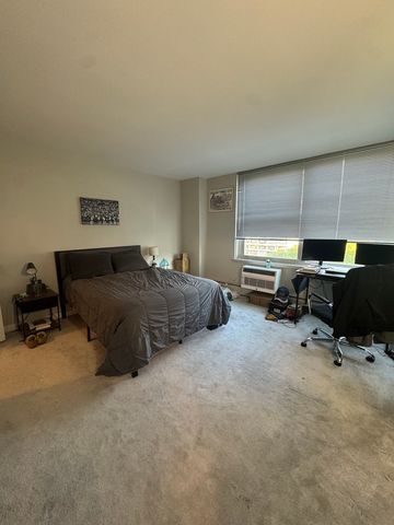 336 W Wellington Avenue 1001, Chicago, IL 60657