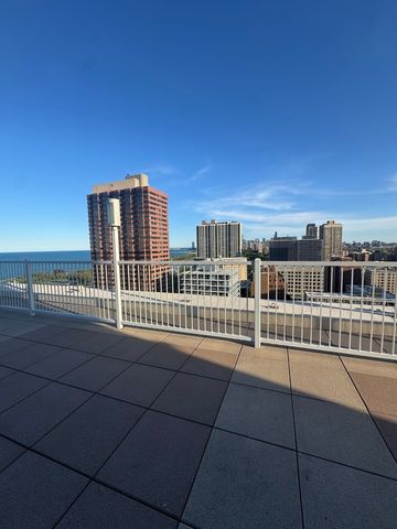 336 W Wellington Avenue 1001, Chicago, IL 60657