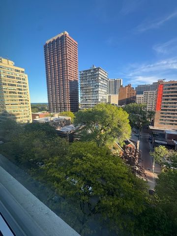 336 W Wellington Avenue 1001, Chicago, IL 60657