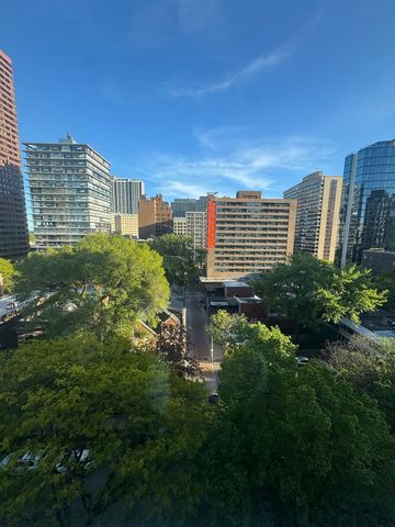 336 W Wellington Avenue 1001, Chicago, IL 60657