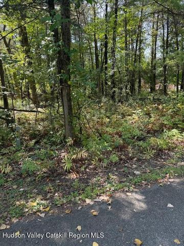 41 Fallen Tree Lane, Athens, NY 12015