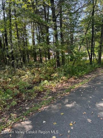 41 Fallen Tree Lane, Athens, NY 12015