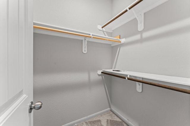 6846 Termino Lane, Rosharon, TX 77583