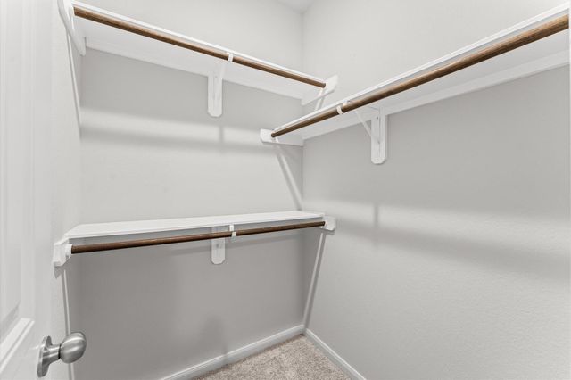 6846 Termino Lane, Rosharon, TX 77583