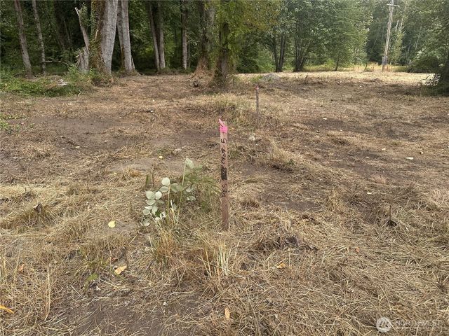 154 XX SE Jones Road, Renton, WA 98058
