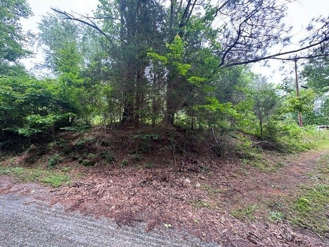 1970 Trace Creek Rd, Hohenwald, TN 38462