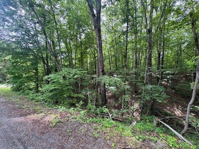 1970 Trace Creek Rd, Hohenwald, TN 38462