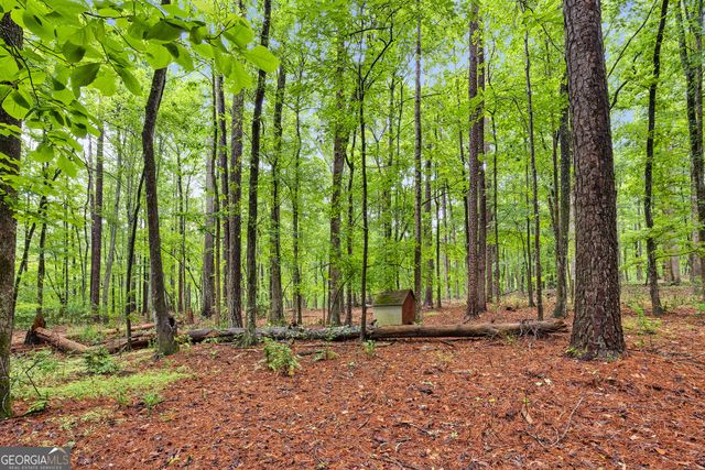 61 Lake Coweta Trail, Newnan, GA 30263