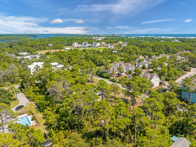 323 Pinewood Lane, Inlet Beach, FL 32461