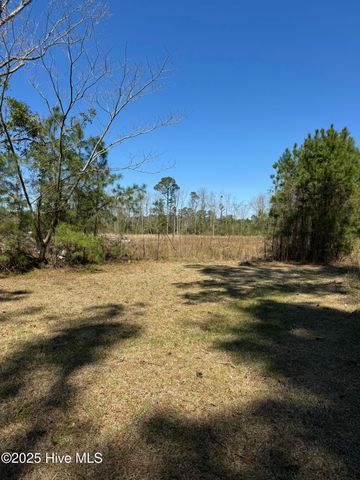 1309 Gaston Sellers Road, Whiteville, NC 28472