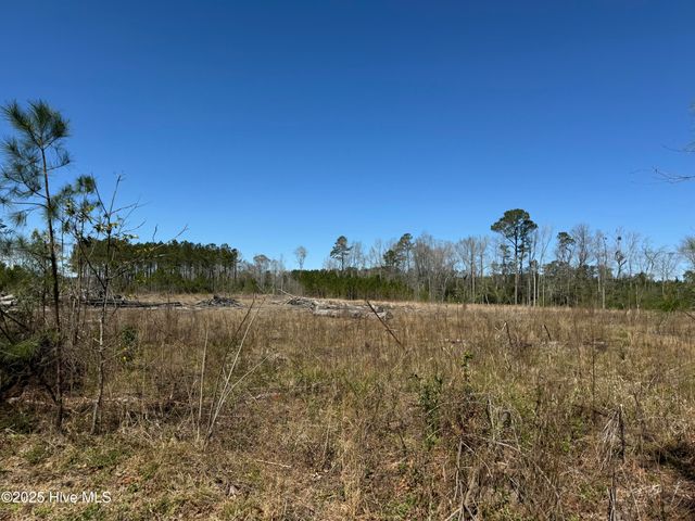 1309 Gaston Sellers Road, Whiteville, NC 28472