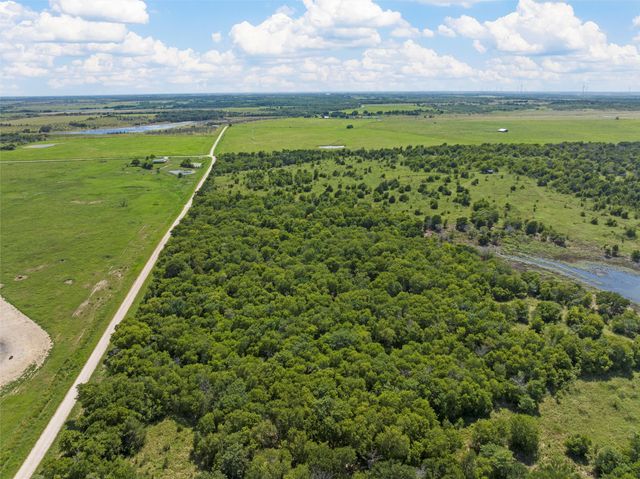 TBD County Road 214, Coolidge, TX 76635