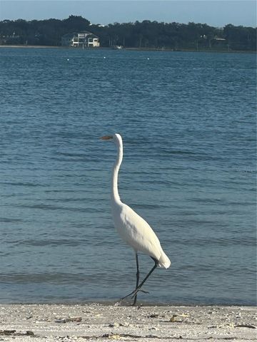 1250 GULF BOULEVARD 405, Clearwater, FL 33767