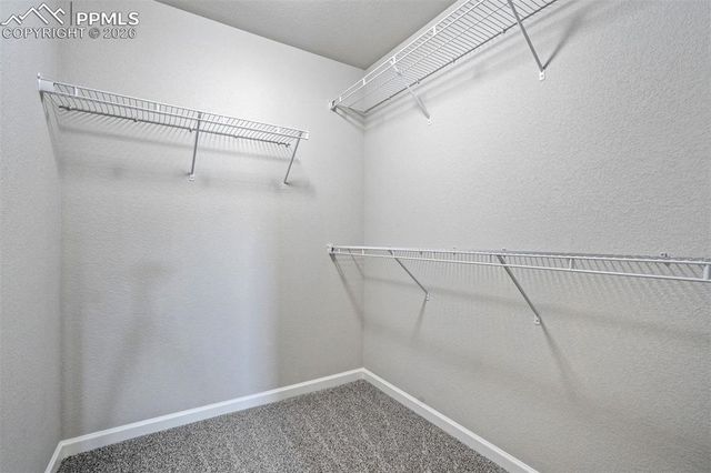 11415 Rill Point, Colorado Springs, CO 80921