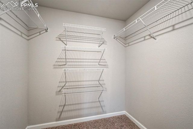 11415 Rill Point, Colorado Springs, CO 80921