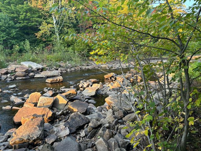 174 Rabideau Road, Altona, NY 12910