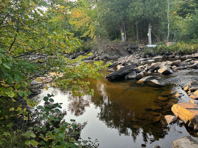 174 Rabideau Road, Altona, NY 12910