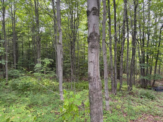 174 Rabideau Road, Altona, NY 12910