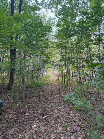 174 Rabideau Road, Altona, NY 12910