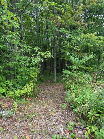 174 Rabideau Road, Altona, NY 12910