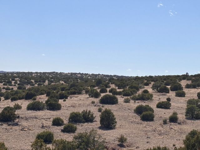 Lot 173 Pinon Springs Ranch, Magdalena, NM 87825