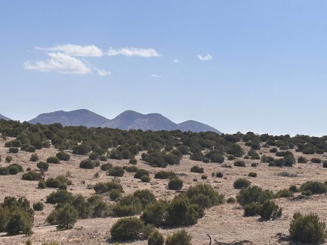 Lot 173 Pinon Springs Ranch, Magdalena, NM 87825