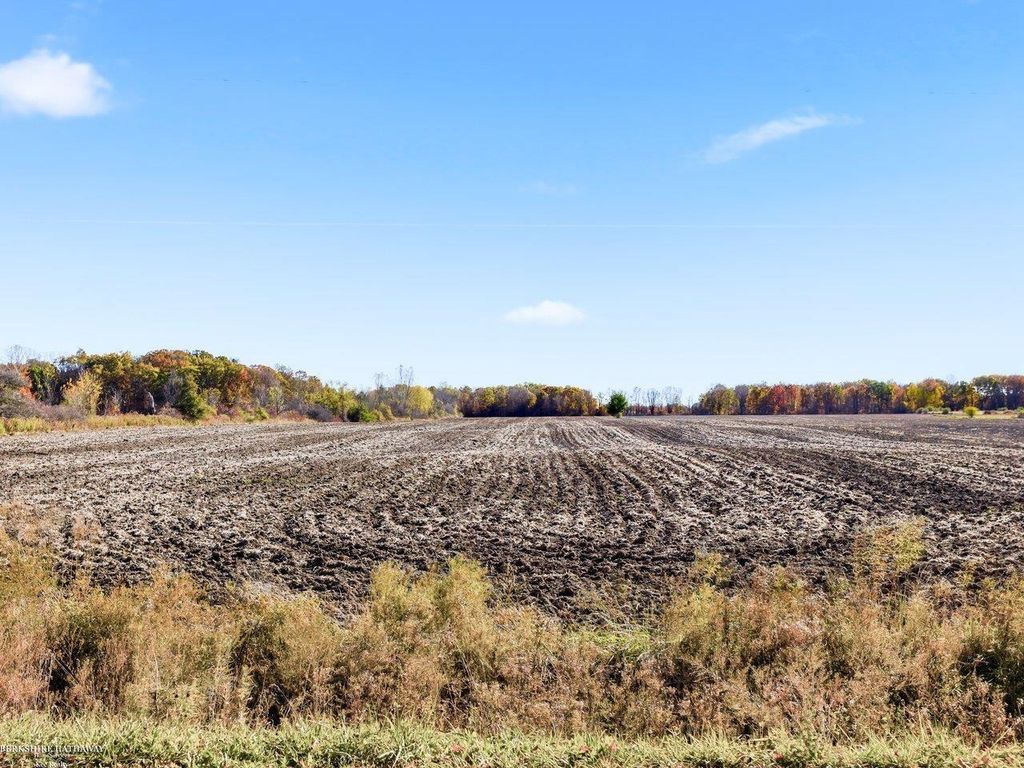 Mcintyre Road, North Street, MI 48049