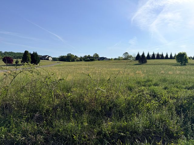 LOT 15 GREEN LEVEL RD, Boones Mill, VA 24065