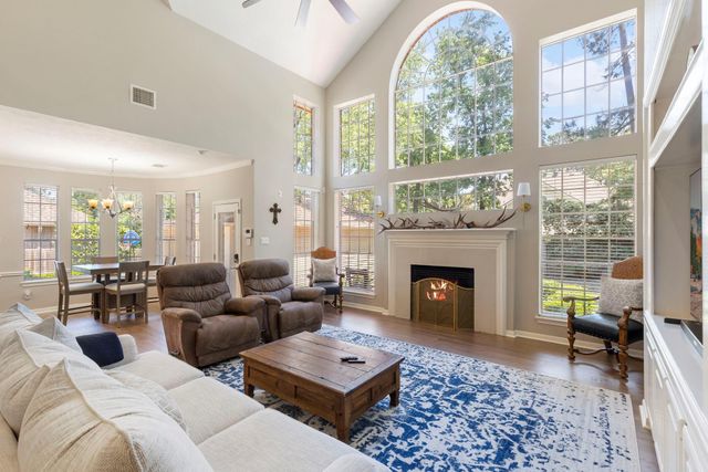 10 Scenic Mill Place, The Woodlands, TX 77382