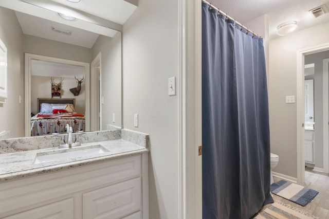10 Scenic Mill Place, The Woodlands, TX 77382