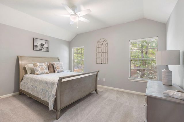 10 Scenic Mill Place, The Woodlands, TX 77382