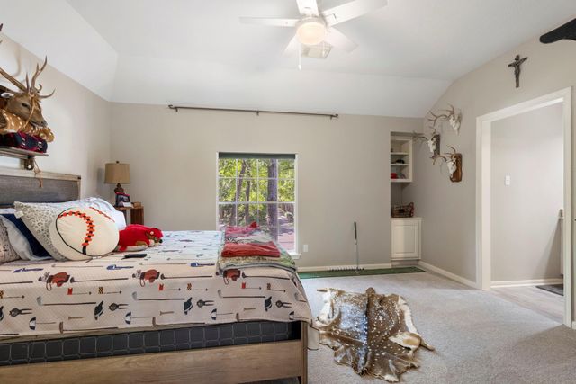 10 Scenic Mill Place, The Woodlands, TX 77382