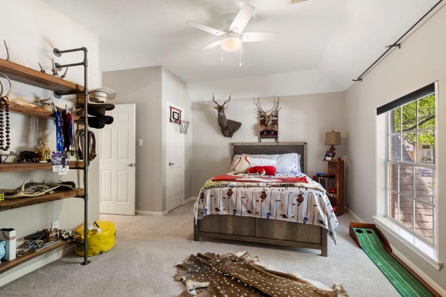 10 Scenic Mill Place, The Woodlands, TX 77382