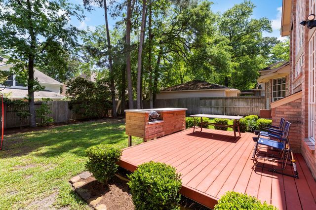 10 Scenic Mill Place, The Woodlands, TX 77382