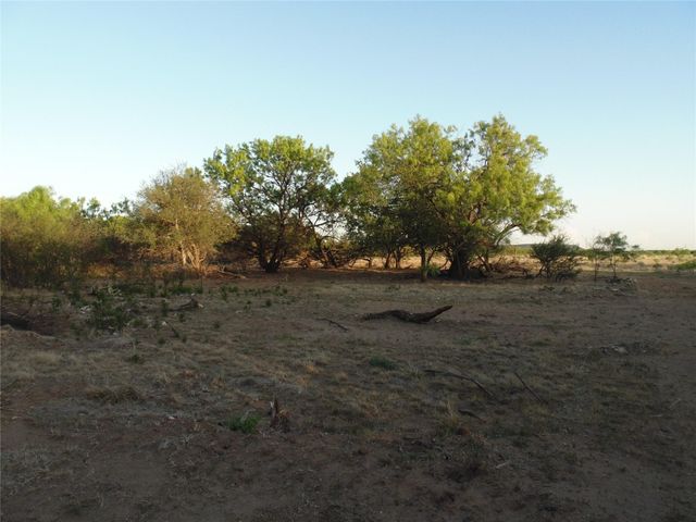 11 AC Us-83, Bradshaw, TX 79567
