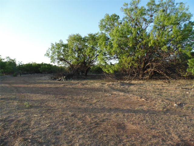 11 AC Us-83, Bradshaw, TX 79567